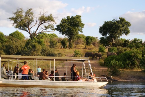 Chobe  020